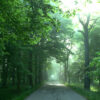 Mystic Zuru Alley